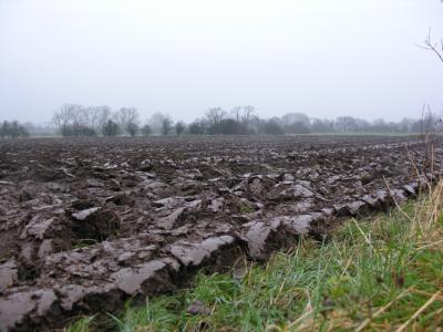  - 11th Feb 2005 - Ploughed
