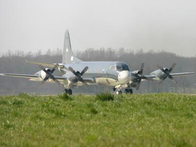 800-mld300.jpg