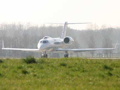 800-swf021-2.jpg