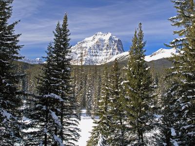 Bow Valley Winter VI