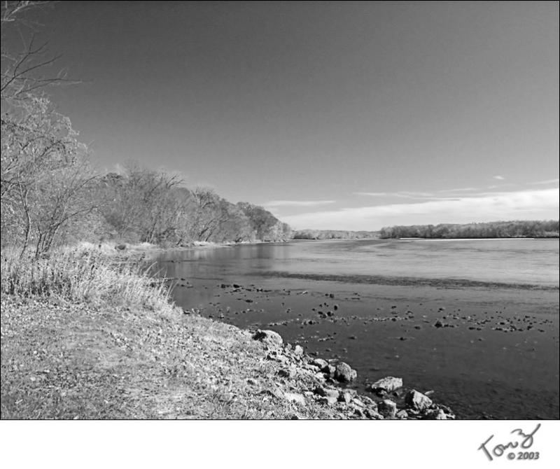 Along the River Late Fall - BW
