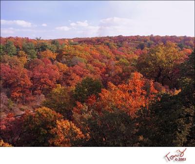 Fall Colors at Starved Rock