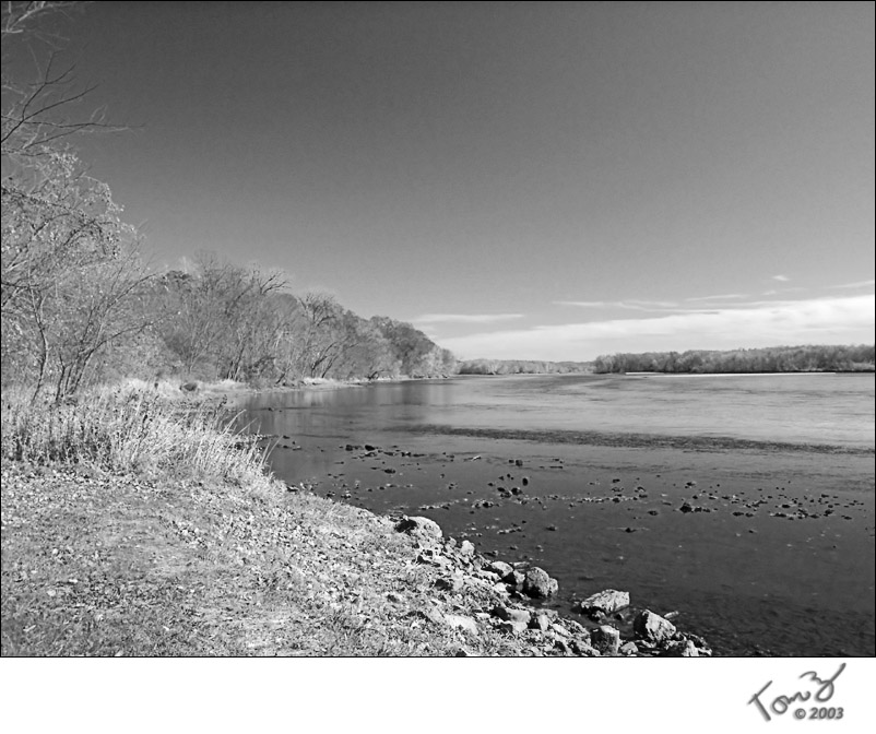 Along the River Late Fall - BW