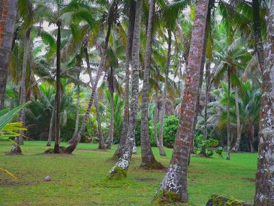 Puna District