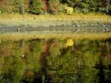 Wangell Narrows