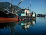 South Harbor, Petersburg