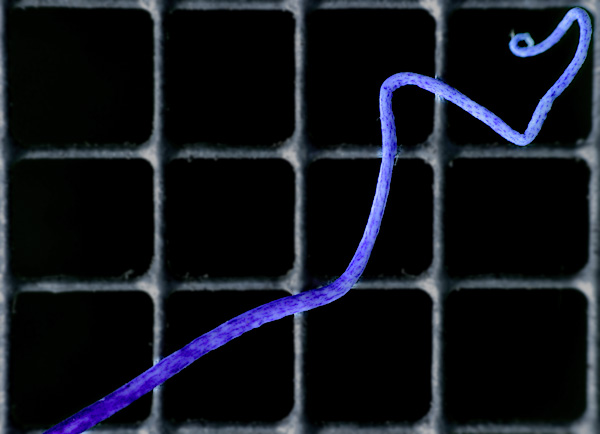 Graph.jpg
