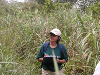 Rury-on-transect.jpg