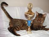 OCC=2nd Best Adult kat.lll  2004