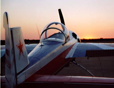 Yak at Sunset