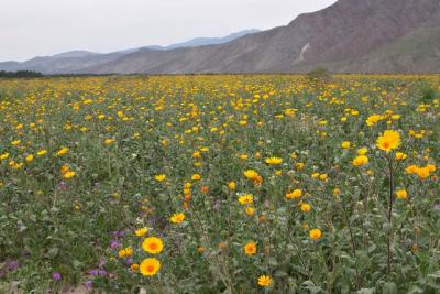 CRW_2446.jpg