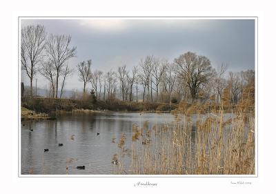 Hirschlensee