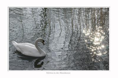 (Giessenpark Bad Ragaz)