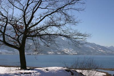 Am Walensee