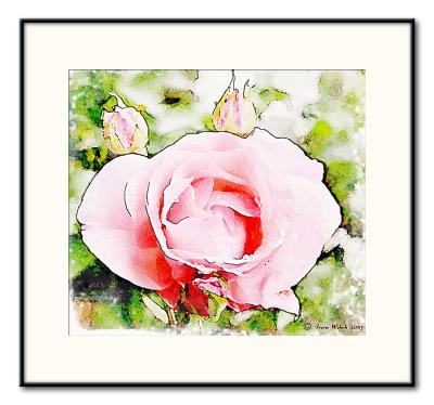 u42/wehire/medium/40614089.263RosemitRahmenkleinKopie.jpg
