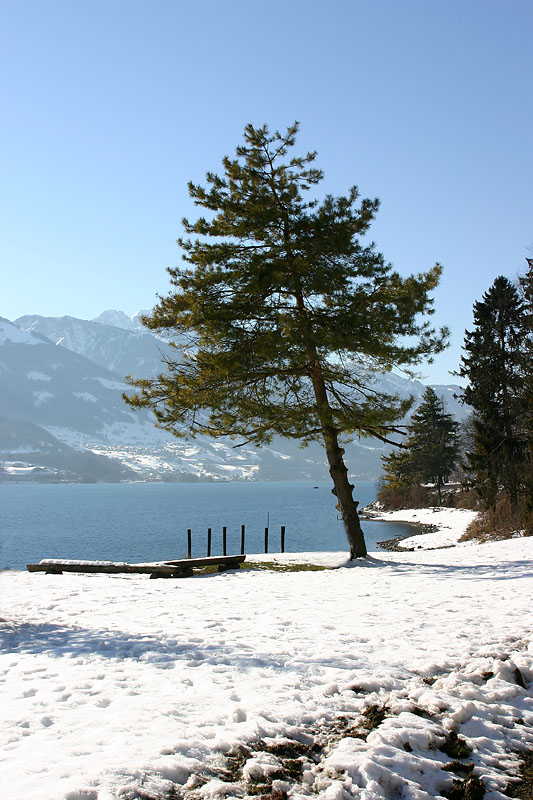 Am Walensee