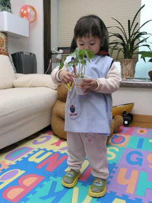 P4014655a.jpg