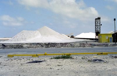 Cargill Salt