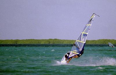 Lac Bay Windsurfer