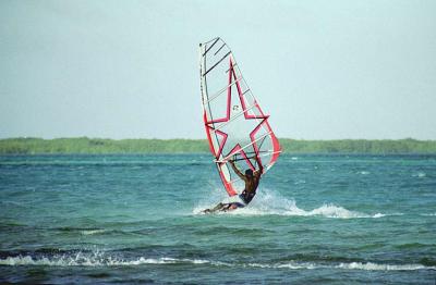 Lac Bay Windsurfer