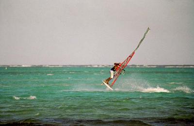 Lac Bay Windsurfer