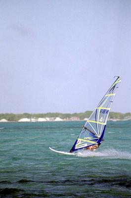 Lac Bay Windsurfer