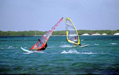 Lac Bay Windsurfers