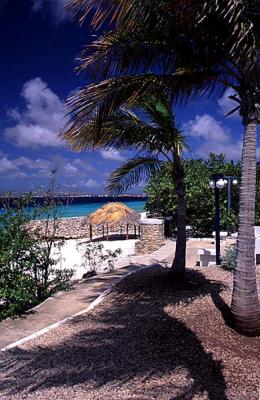 The Beach and Barbeque Area