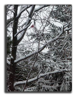 Winters Last Gasp