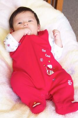 CRW_7025-1.jpg