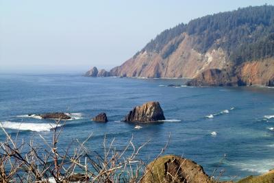 IMG20402a.jpg