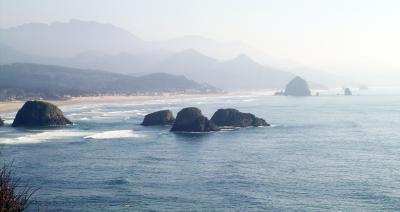 IMG20407a.jpg