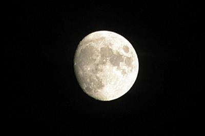 Img_0063a.jpg
