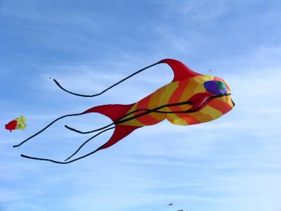 Kites on Ice