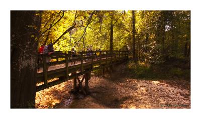 The Bridge