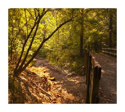 The Creek at the Bridge