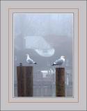 F is for Fog