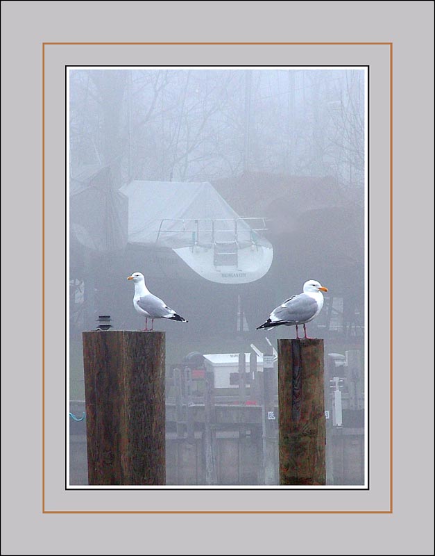 F is for Fog