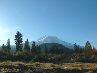 Mt. Shasta Morn