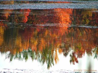 Autumn Reflections  II
