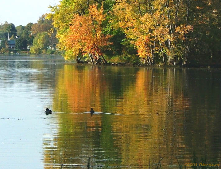 Autumn Tranquility