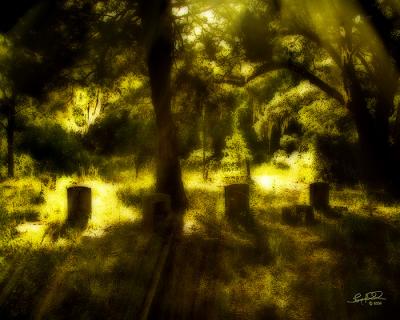Graveyard Dream.jpg