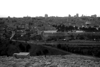 Jerusalem Landscape