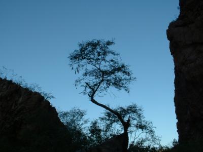 Dusk in the canyon