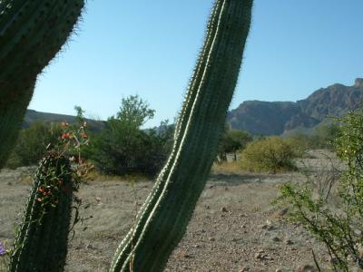 On the way to the canyon