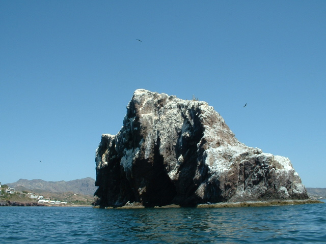 Pelican rock