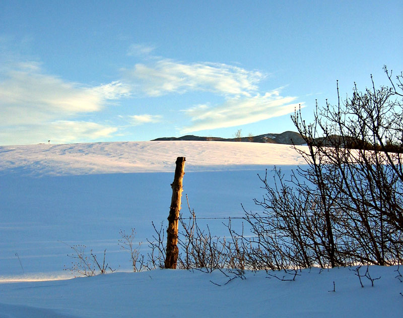 IMG_0554_good_snow_fence_crop1_4w.jpg