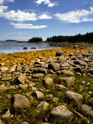 LOW TIDE, Ship Harbour, NS
