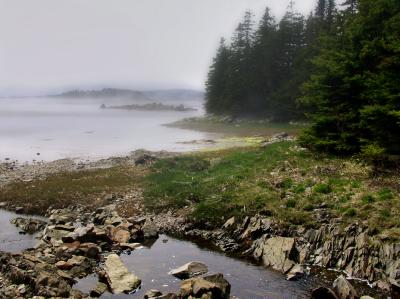 DEEP COVE , EastChezzetcook, NS