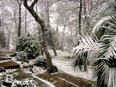 Snow on the French Riviera 87003665.jpg